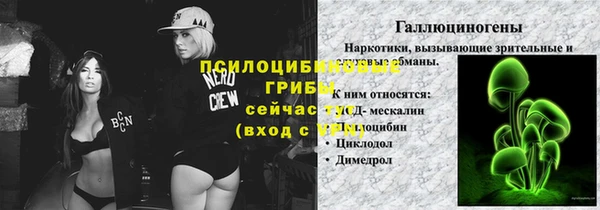 ешки Михайлов